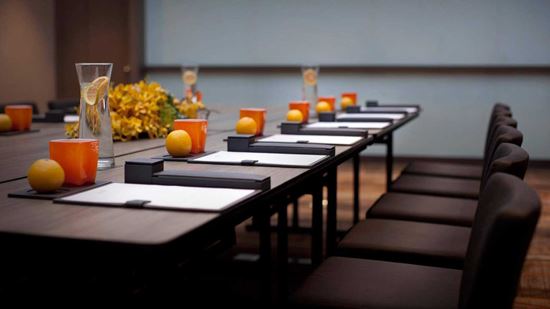 Amarin Meeting Room