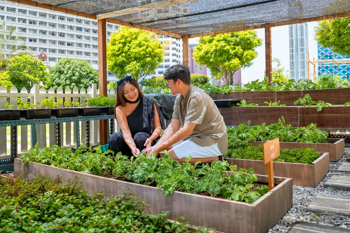 Steps Towards a Greener Future - אמארי ווטרגייט בנגקוק (Amari Watergate Bangkok)