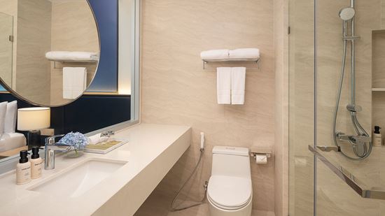 Deluxe Pool Terrace - Bathroom