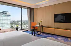 Deluxe City View