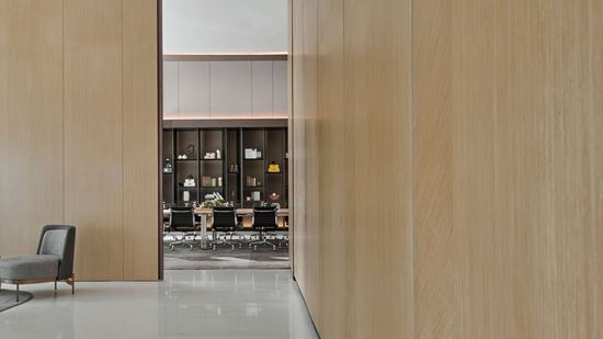 Hoya - Meeting room